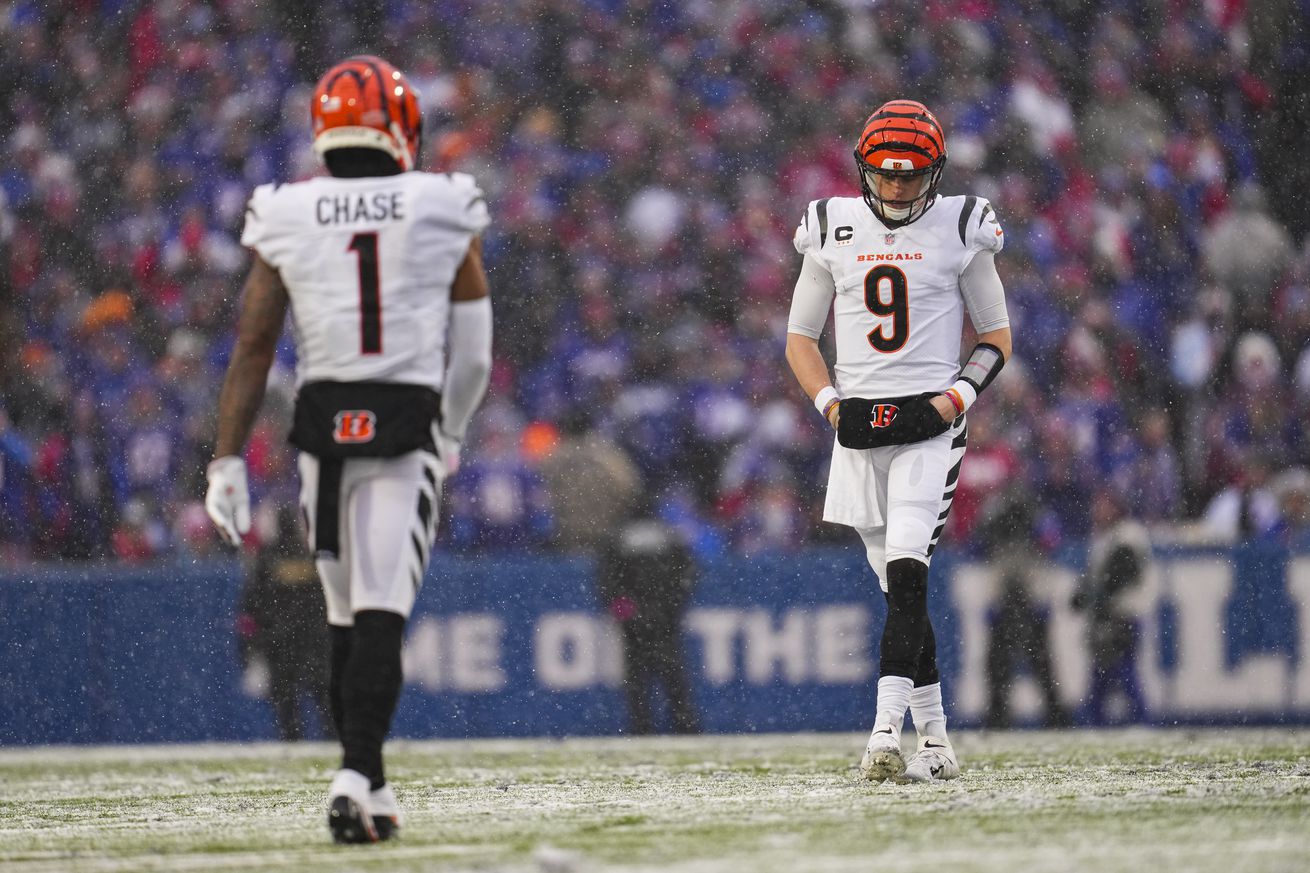 AFC Divisional Playoffs - Cincinnati Bengals v Buffalo Bills