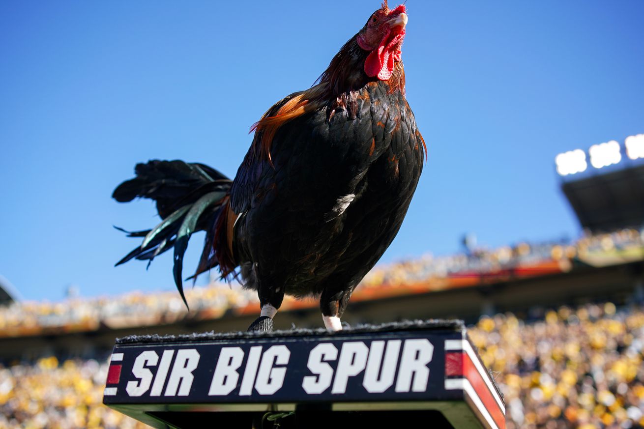 NCAA Football: South Carolina at Missouri