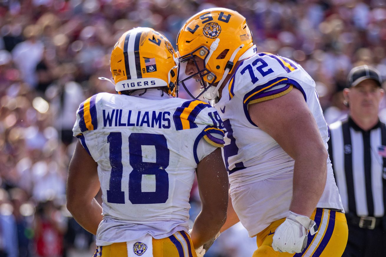 NCAA Football: Louisiana State at South Carolina