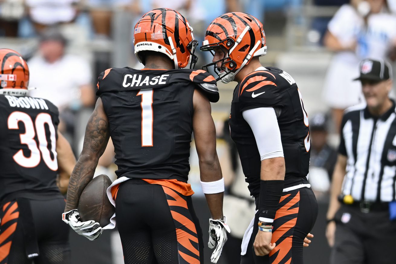 Cincinnati Bengals v Carolina Panthers