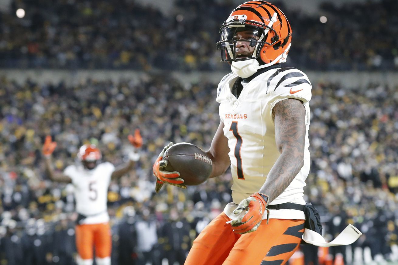 NFL: Cincinnati Bengals at Pittsburgh Steelers